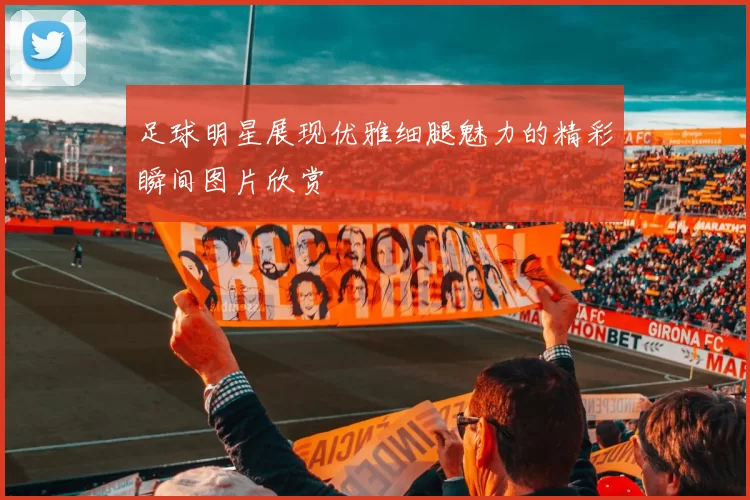 足球明星展现优雅细腿魅力的精彩瞬间图片欣赏