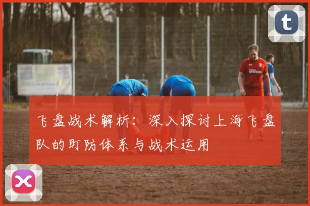 飞盘战术解析：深入探讨上海飞盘队的盯防体系与战术运用
