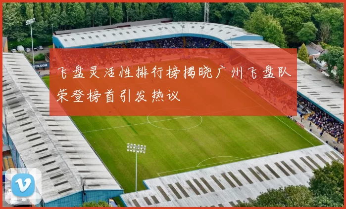 飞盘灵活性排行榜揭晓广州飞盘队荣登榜首引发热议