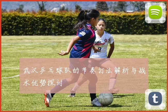 武汉乒乓球队的节奏打法解析与战术优势探讨