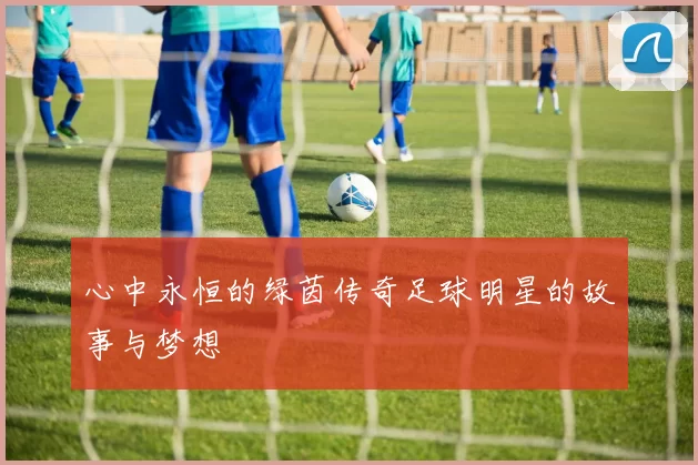 心中永恒的绿茵传奇足球明星的故事与梦想