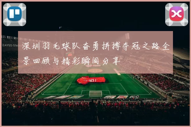 深圳羽毛球队奋勇拼搏夺冠之路全景回顾与精彩瞬间分享