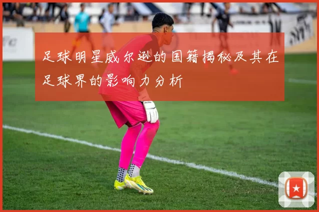 足球明星威尔逊的国籍揭秘及其在足球界的影响力分析