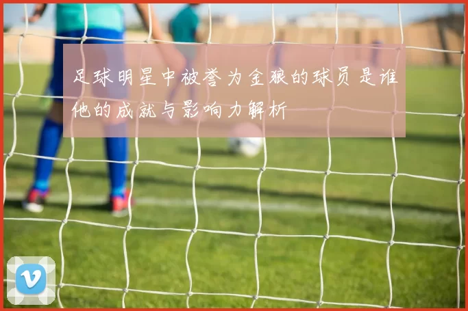 足球明星中被誉为金狼的球员是谁他的成就与影响力解析