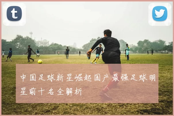 中国足球新星崛起国产最强足球明星前十名全解析