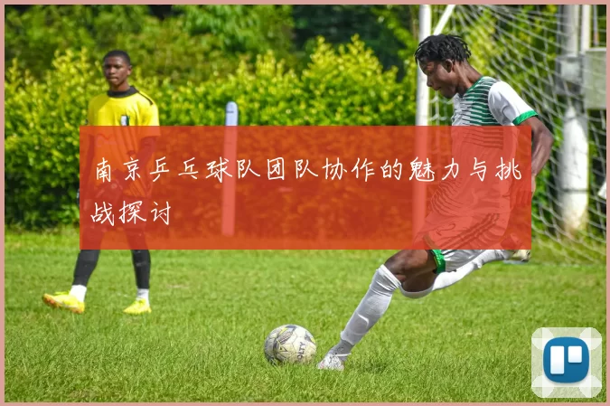 南京乒乓球队团队协作的魅力与挑战探讨