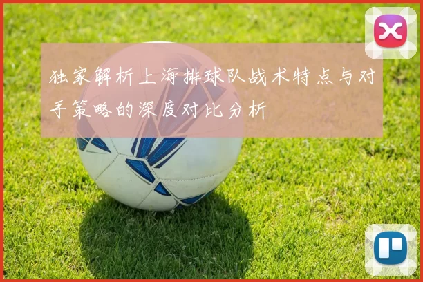 独家解析上海排球队战术特点与对手策略的深度对比分析