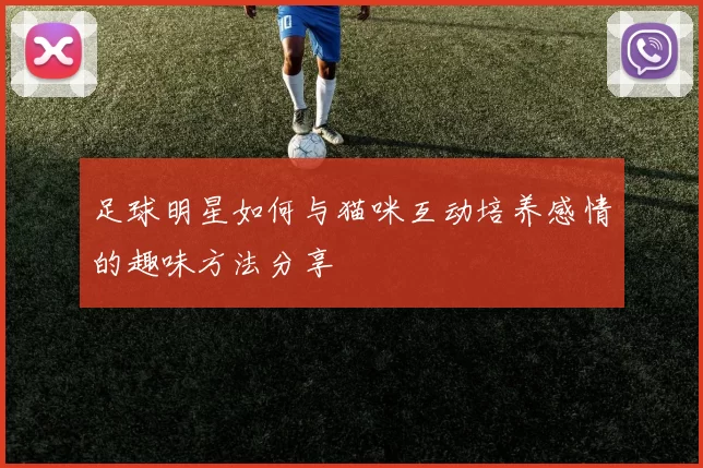 足球明星如何与猫咪互动培养感情的趣味方法分享