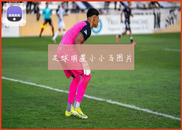 足球明星小小马图片