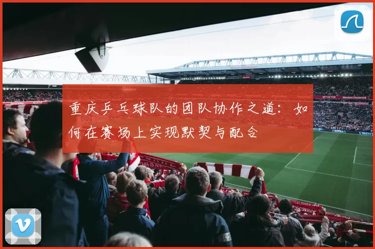重庆乒乓球队的团队协作之道：如何在赛场上实现默契与配合