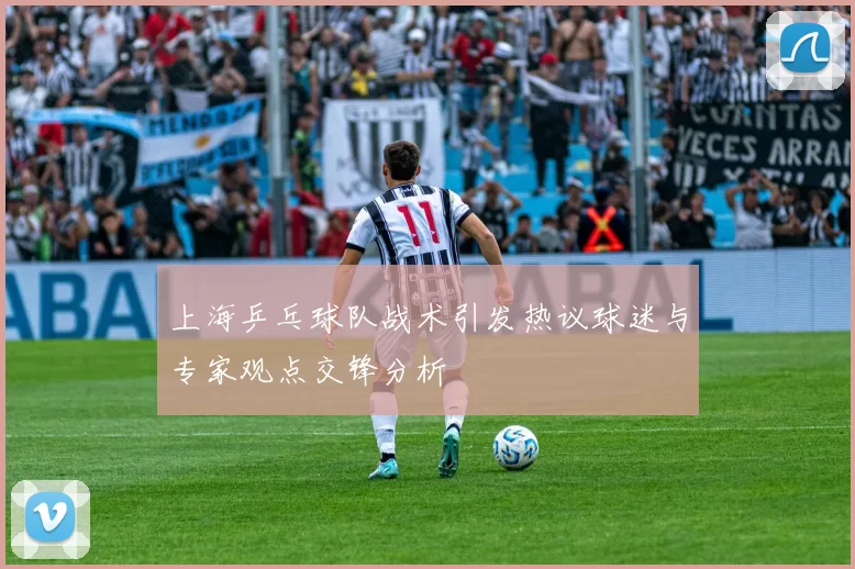 上海乒乓球队战术引发热议球迷与专家观点交锋分析