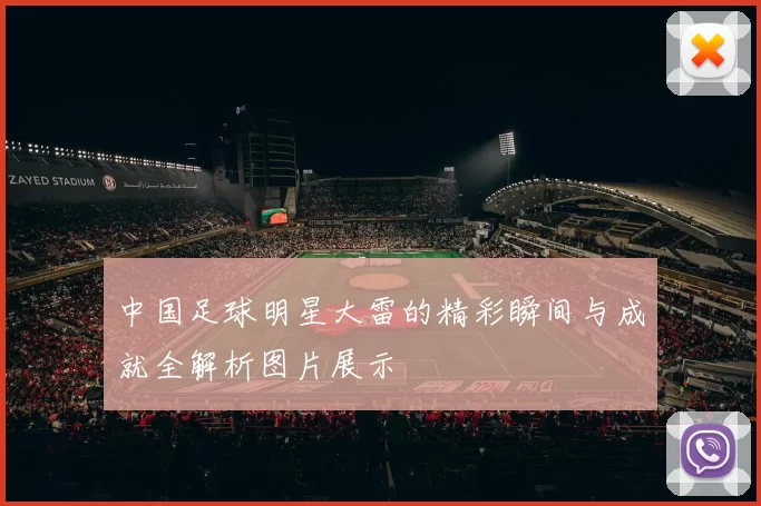 中国足球明星大雷的精彩瞬间与成就全解析图片展示