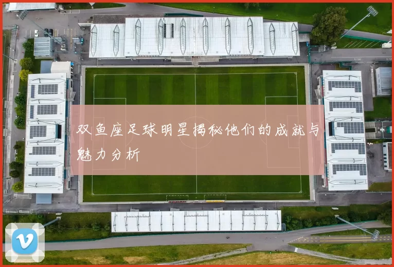 双鱼座足球明星揭秘他们的成就与魅力分析