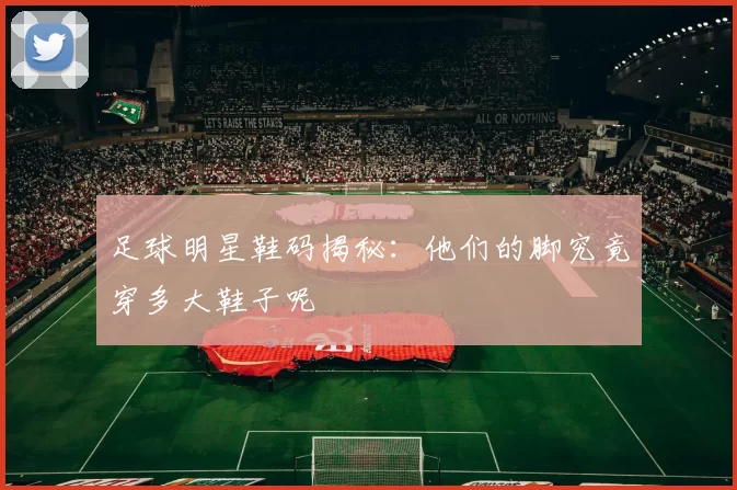 足球明星鞋码揭秘：他们的脚究竟穿多大鞋子呢