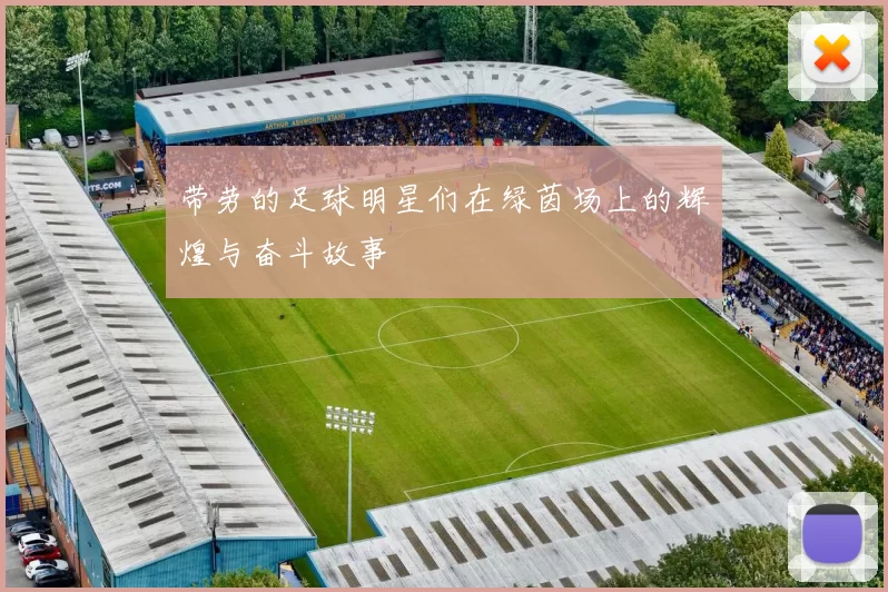 带劳的足球明星们在绿茵场上的辉煌与奋斗故事