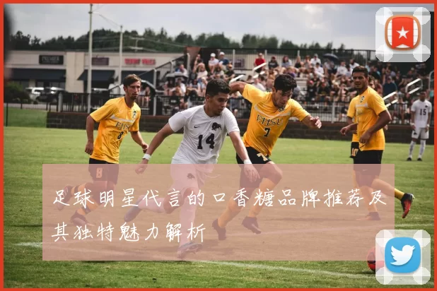 足球明星代言的口香糖品牌推荐及其独特魅力解析
