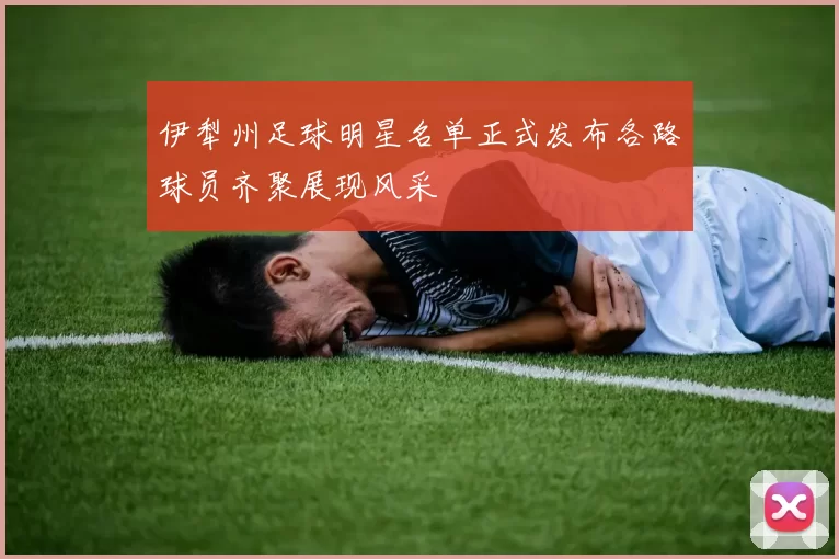 伊犁州足球明星名单正式发布各路球员齐聚展现风采