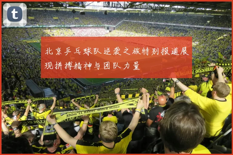 北京乒乓球队逆袭之旅特别报道展现拼搏精神与团队力量