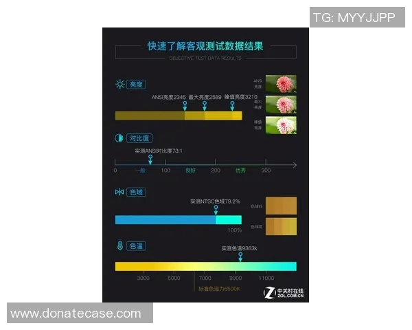 数据分析探讨V5灵活性表现及其对业务决策的影响分析